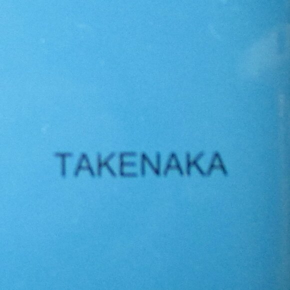 TAKENAKA BENTO BOX - Picture 11 of 13